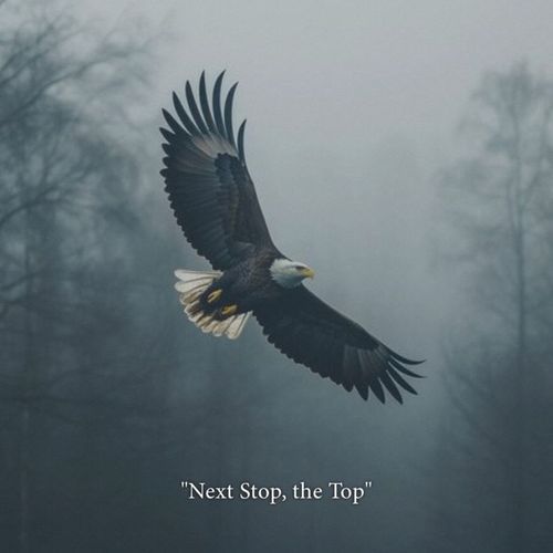 Next Stop, The Top Sidhnoor Virk MP3 Download